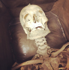 73074338_10157615498064522_6162289007511207936_o